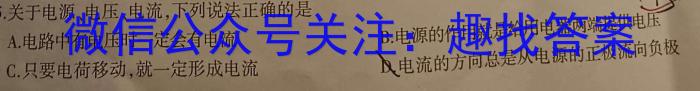 2024年河南省普通高中招生考试·终极C卷物理试卷答案