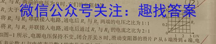 湖南省益阳市2023年下学期普通高中期末质量检测物理试卷答案