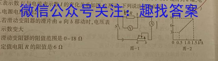 2024年普通高等学校招生全国统一考试猜题信息卷(二)物理试卷答案