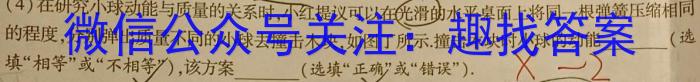 2024届江西省宜春名校联盟九年级综合检测一(CZ124c)物理`