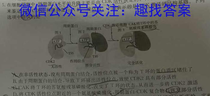 齐鲁名校大联考2025届山东省高三第一次学业水平联合检测生物学试题答案