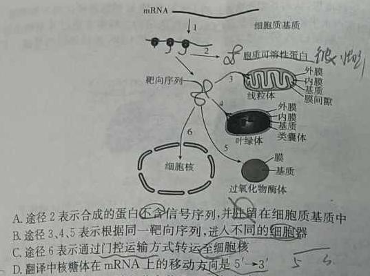 2023-2024学年广西高二年级阶段性考试(24-224B)生物学部分