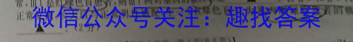 2024年河南省普通高中招生考试试卷方向卷生物学试题答案