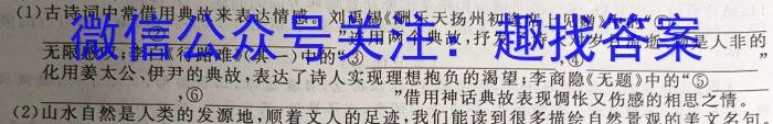 文博志鸿河南省2023-2024学年第一学期九年级期末教学质量检测（B）/语文