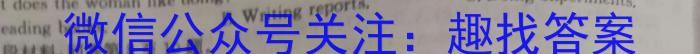 安徽省2024年初中学业水平模拟考试英语