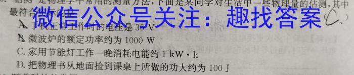 ［网上流传版本］晋文源·2024年山西省中考模拟百校联考试卷（一）物理