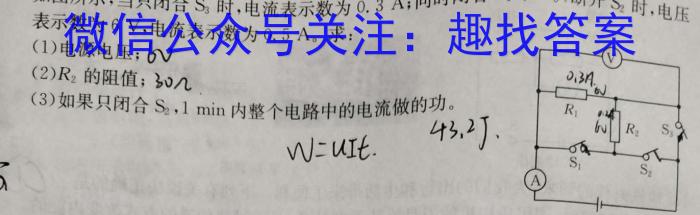 甘肃省白银市2024-2025学年度第一学期八年级期中试卷物理试卷答案