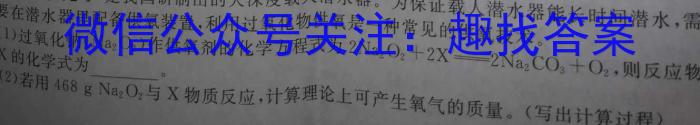 32024年普通高等学校招生全国统一考试 名校联盟·模拟信息卷(T8联盟)(一)化学试题