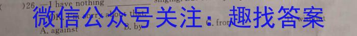 山西省2024年中考总复习专题训练 SHX(四)4英语试卷答案