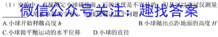 河北省2024年中考适应性训练（5.21）物理试卷答案