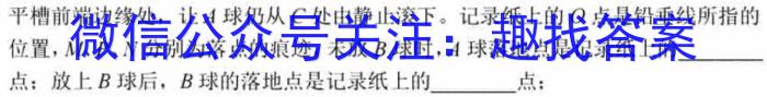 山东省实验中学2024-2025学年上学期高三第二次诊断考试(2024.11)物理试题答案