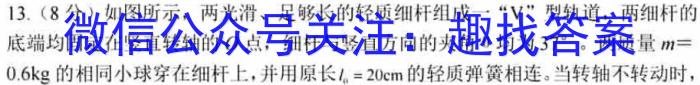 九师联盟 2024届高三2月开学考X试题物理试卷答案