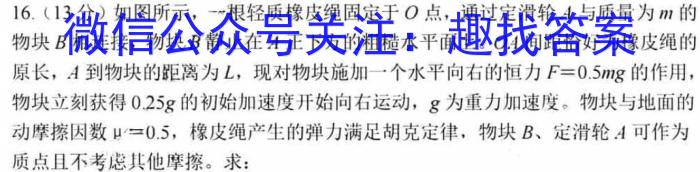 金考卷·百校联盟(新高考卷)2024年普通高等学校招生全国统一考试 预测卷(二)2l物理