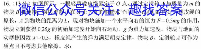 名思教育 2024年河南省普通高中招生考试试卷(金榜卷)物理`