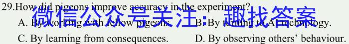 2024年陕西省初中学业水平考试（SX2）英语试卷答案