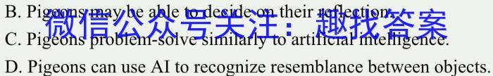 全国名校大联考 2023~2024学年高三第七次联考(月考)试卷XGK-B试题英语试卷答案