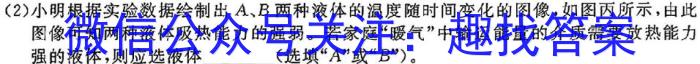 河南省2023-2024学年新乡市高二期末(上)测试(24-306B)物理试卷答案