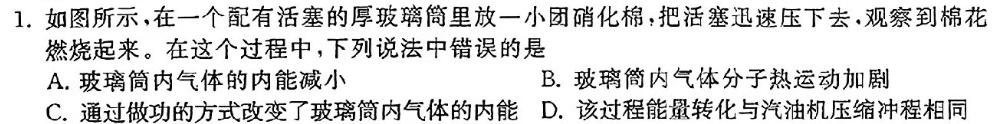 河北省2023-2024学年度八年级第二学期学生素质终期评价(2024.07)(物理)试卷答案