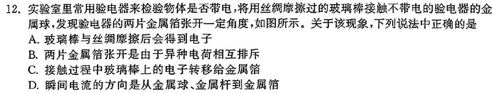 炎德英才大联考 长郡中学2024年高二暑假作业检测试卷(物理)试卷答案