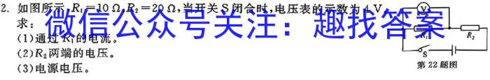 ［八校联考］安徽省合肥市巢湖市2024届九年级期末考试l物理
