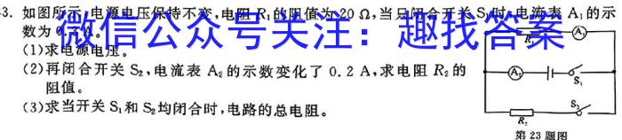 安徽省2024年中考密卷先享模拟卷(二)物理