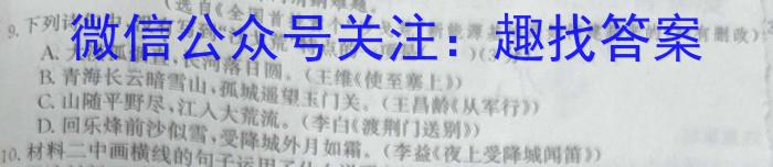 衡水金卷先享题调研卷2024答案新高考(一)语文