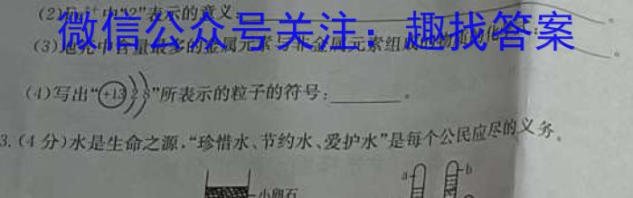 q安徽省2024届九年级第一次模拟考试化学