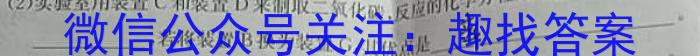 3贵州省黔东南州2024届12月份高三统测化学试题