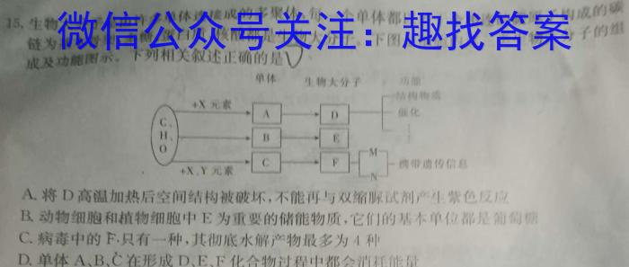 安徽省十联考 合肥一中2023-2024学年度高一年级第一学期期末联考生物学试题答案