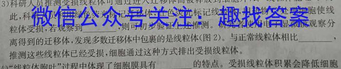 福建省漳州市2024届高中毕业班第二次教学质量检测生物学试题答案