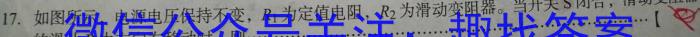 安徽省2025届八年级下学期期中考试（无标题）物理试卷答案