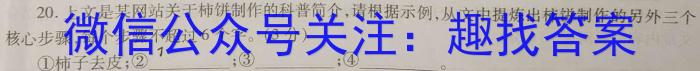 2023-2024ѧ꼶ѧ⣨12.28xԾ