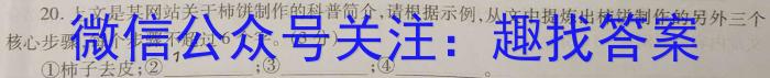 河南省新乡市2023-2024学年度高二年级上学期12月联考语文