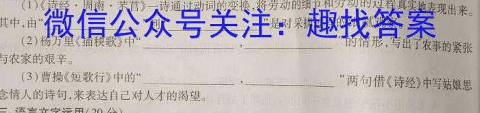 贵州省大方县2023~2024学年度高二秋季学期期末考试(4258B)语文