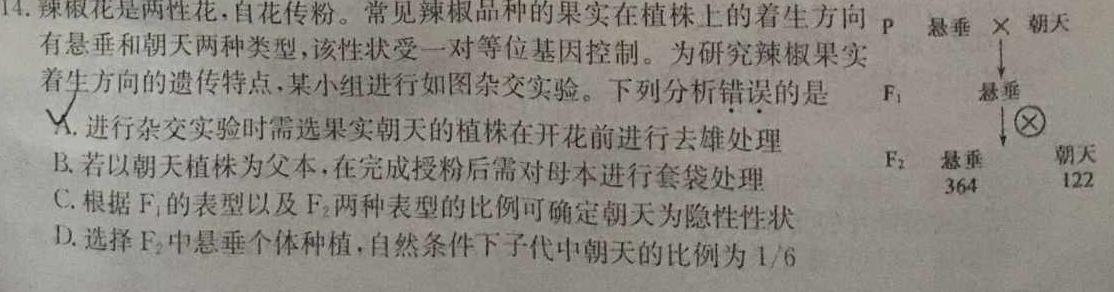 常州市联盟学校2024-2025学年度第一学期学情调研高三年级10月考试生物