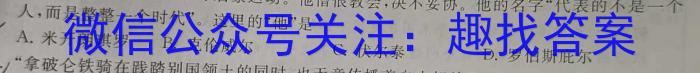 2024届安徽省九年级教学检测(24-CZ118c)政治1