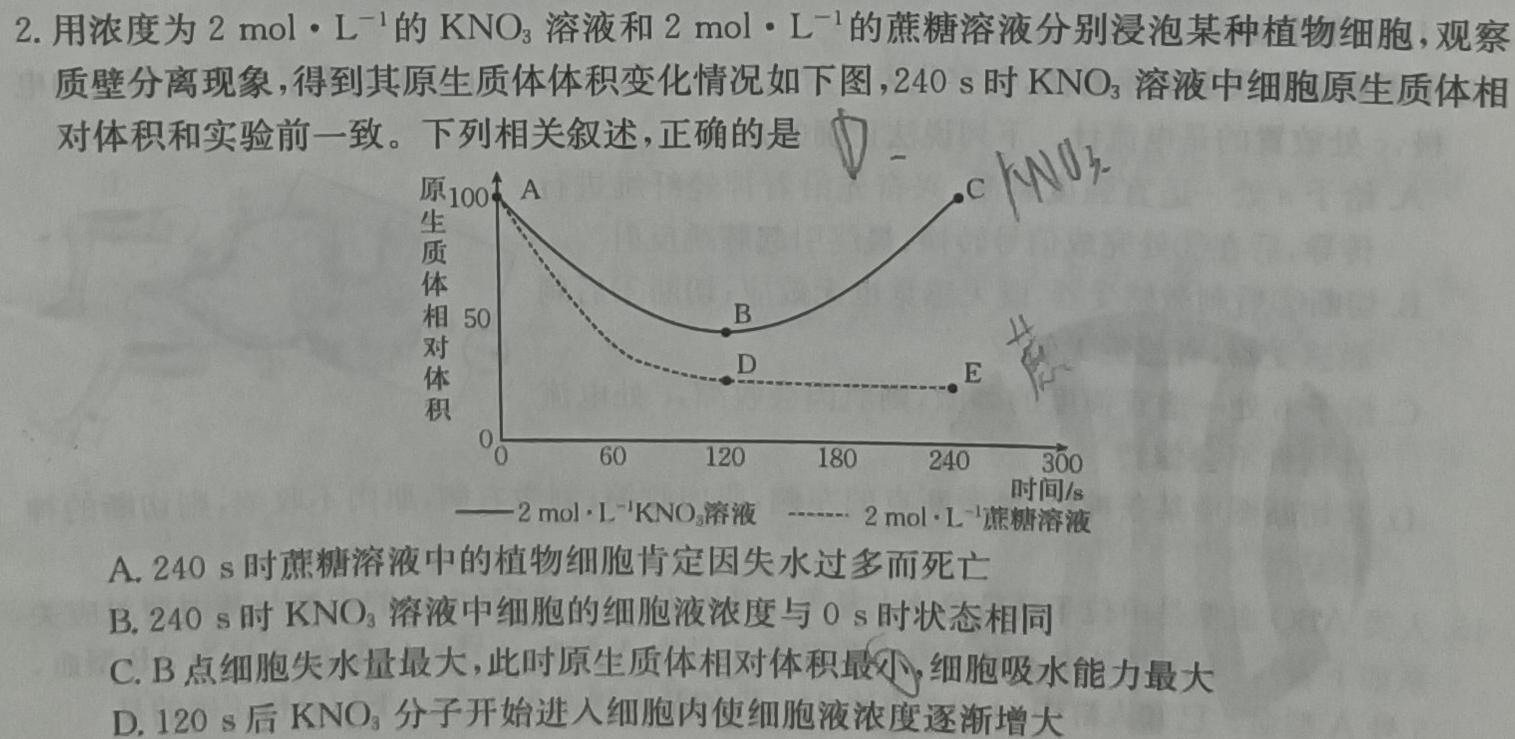 九师联盟·河南省2024年1月高一年级质量检测生物学部分