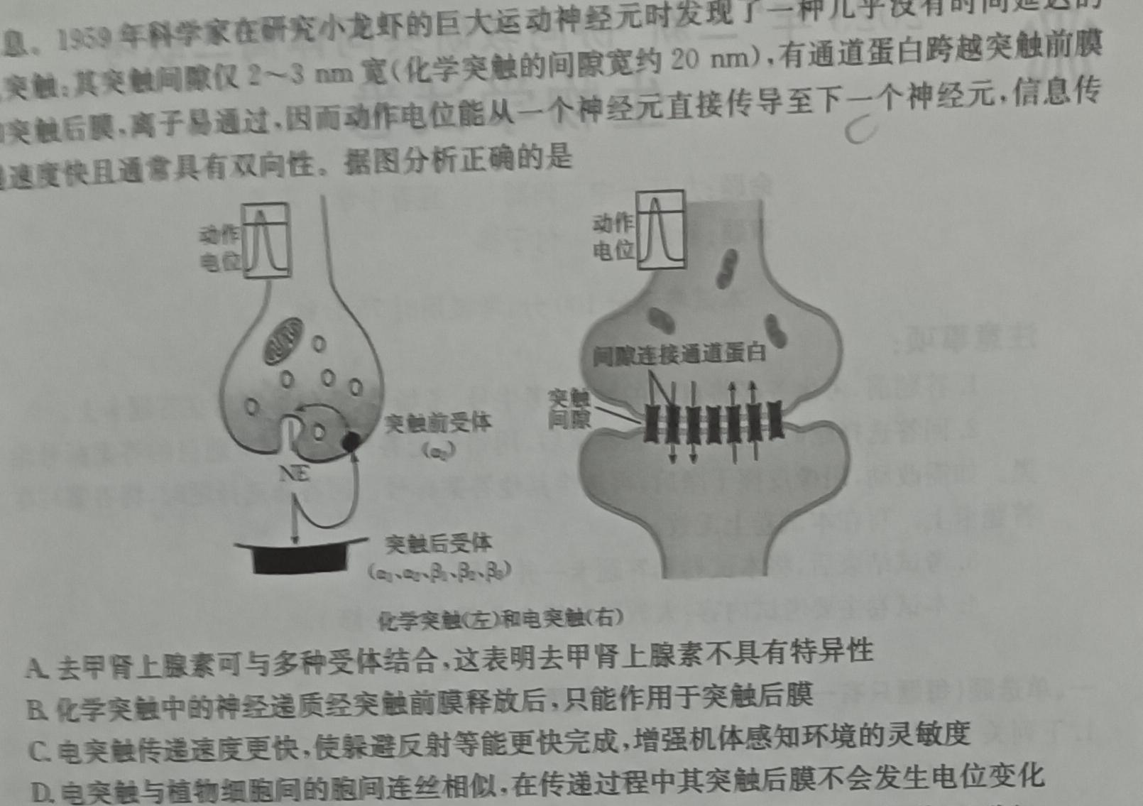 “天一大联考·齐鲁名校联盟”2023-2024学年高三年级第四次联考生物学部分