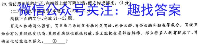 安徽省2023-2024学年九年级上学期综合素养评价语文