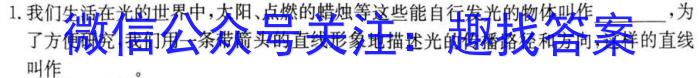 山西省2023~2024学年高一上学期期末测试(241547D)物理