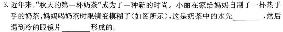 辛集市2023-2024学年度高二第二学期期末教学质量监测(物理)试卷答案