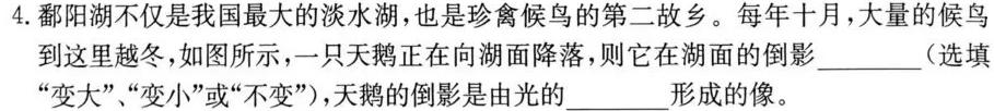 [今日更新]河南省2024年中招模拟考试试题(一).物理试卷答案