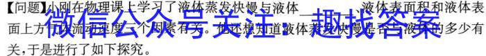 2024年河北省高一下学期5月联考物理`