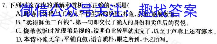 四川省名校联盟2024-2025学年上学期高三第一次联考语文