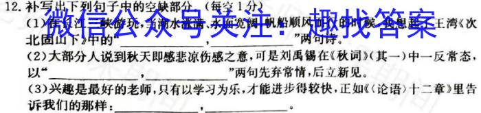 安徽省2023-2024学年度第一学期九年级综合评价（三）语文