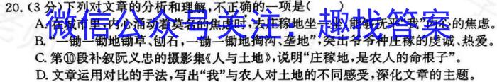 漳州市2023-2024学年（上）期末高中教学质量检测（高一）/语文