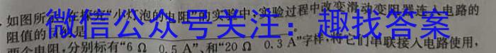 安徽省三海学地教育联盟2023-2024学年九年级春季开年考f物理