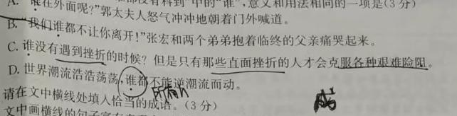 [今日更新]2024年河南省初中第二次学业水平测试语文