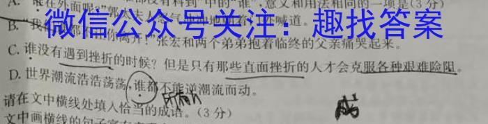 陕西省武功县2024届初中学业水平质量检测(二)2语文