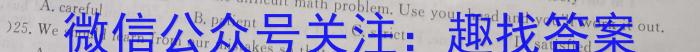 河南省2023-2024学年八年级上学期期末学情调研英语